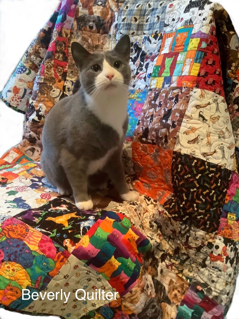 99CFA070-A531-4A1F-8F4B-7AF7749C27CD